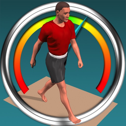 Gaitometer icon