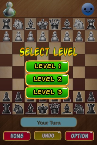 Classic Chess Board Game screenshot 2