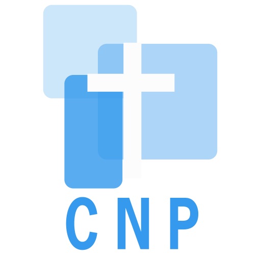 Christian Networking Professionals