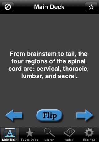 Nervous System Anatomy