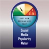 Social media popularity meter