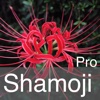 Shamoji123Pro