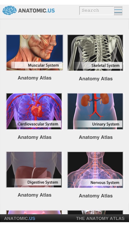 Anatomy Atlas Free