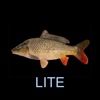 Fish2Net Lite