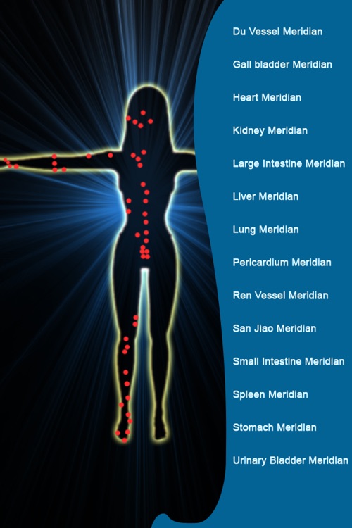 AcuPuncture Visual Dictionary