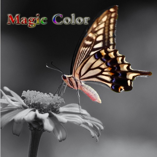 Magic Color icon