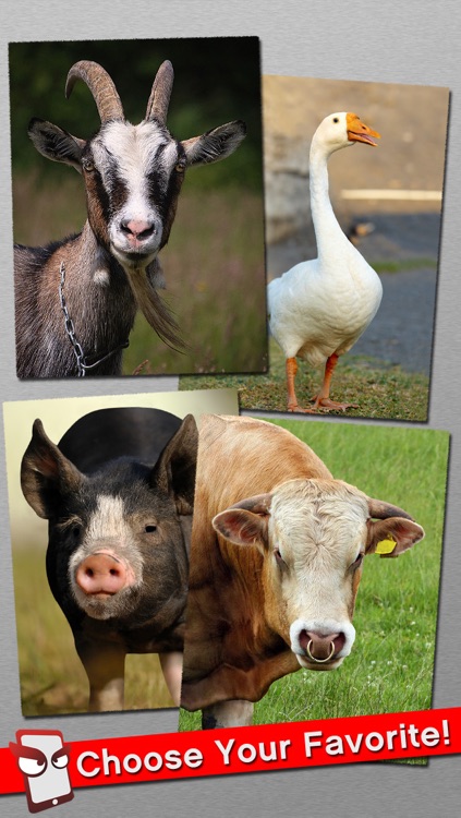 AngryFarm Free - The Angry Farm Animal Simulator screenshot-3