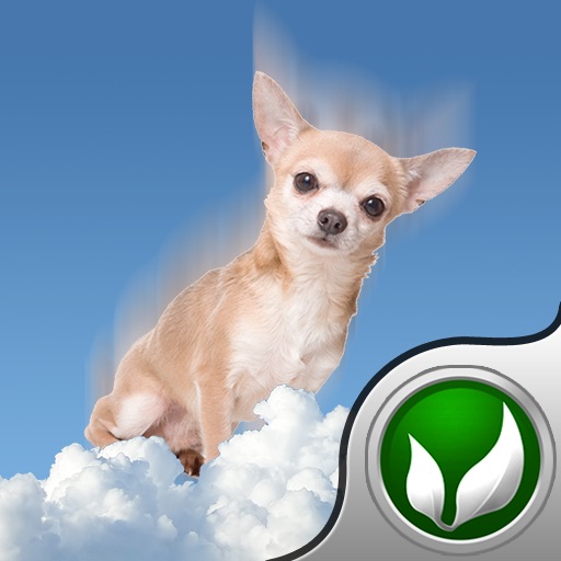 Tinkerbell Drop icon