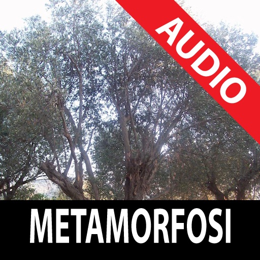 Audiolibro - Ovidio: Metamorfosi - lettura di S...