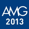 AMG Annual Report 2013