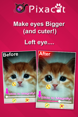 Pixacat: Free Photo Editor for Cat Lovers – Edit cat pictures, share them on Facebook and Instagram screenshot 2