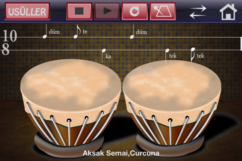 Türk Musikisi screenshot 4