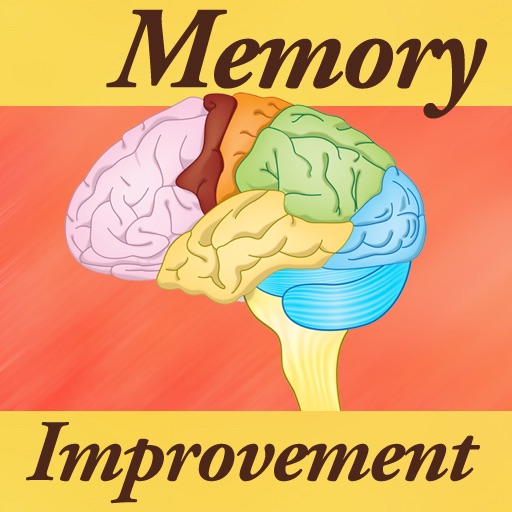 Memory Improvement