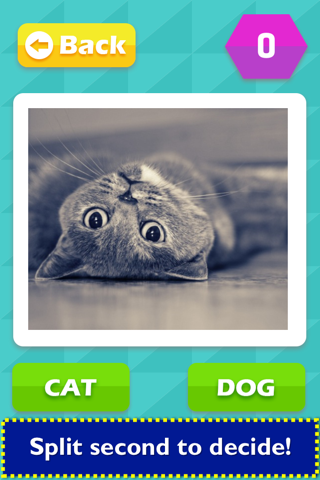 TicToc Pic: Cat or Dog Edition - Reaction Test Game screenshot 2