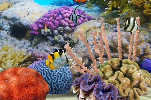 MyReef 3D Aquarium screenshot 3