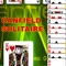 Canfield Solitaire Flawless