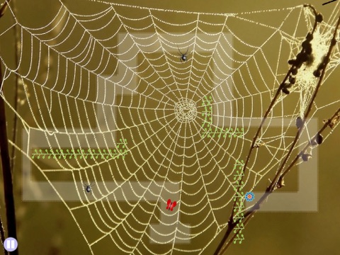 Hungry Spider screenshot 3