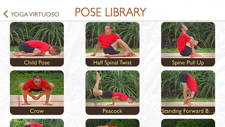 Yoga Virtuoso with Lyndon: Move, Stretch, Dance