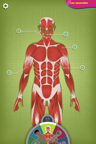 The human body explained by Tom - Discovery screenshot 3