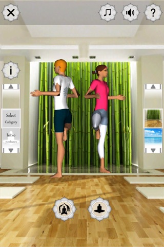 YOGA FITNESS 3D SỨC KHOẺ YOGA FITNESS 3D