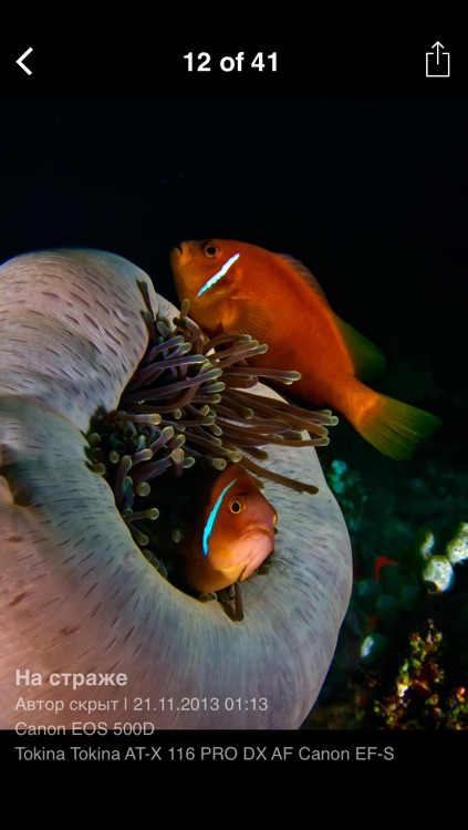 Фотосайт screenshot-3