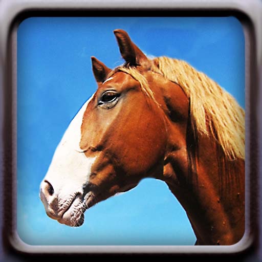 Horses! iOS App