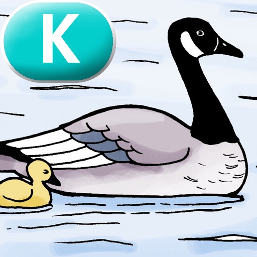 Migrating Geese – LAZ Reader [Level K–second grade] icon