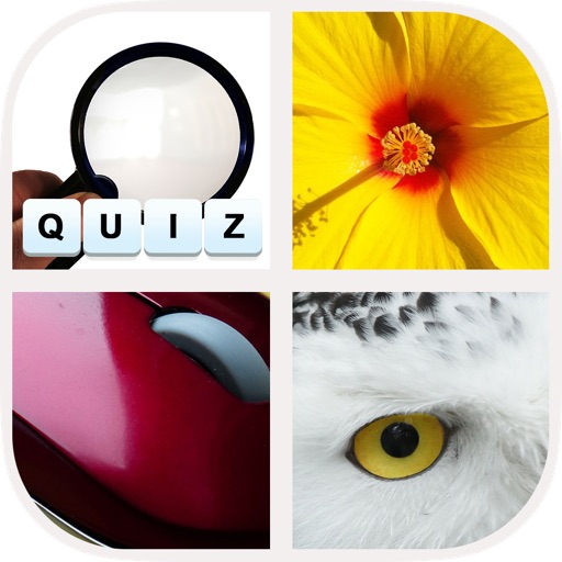 Allo! Close up - Guess the Zoomed in Photo Trivia Challenge