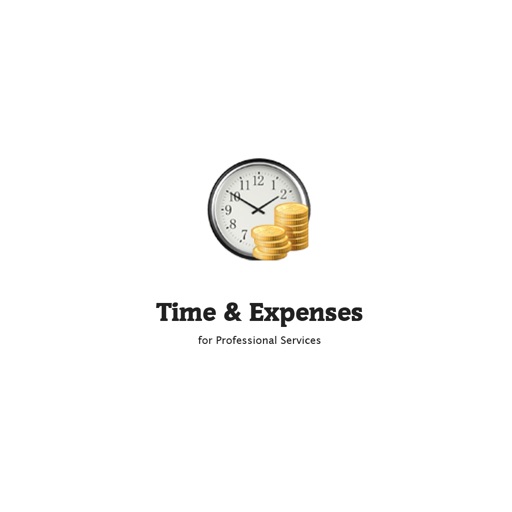 Time And Expenses icon