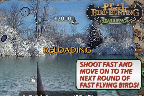 Real Bird Hunting Challenge