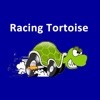 Racing Tortoise