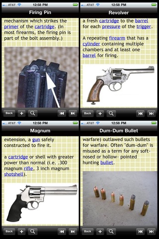 Guns & Ammunition Glossary screenshot 2