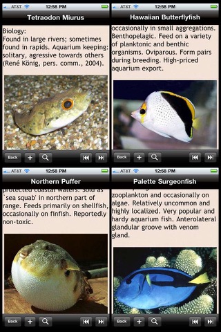 Marine Fish Encyclopedia screenshot 2