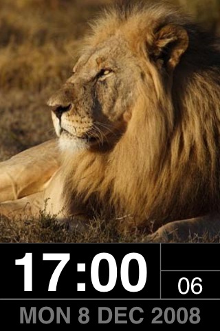 PhotoFrame: Wild!