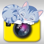 Cat Snap - Photo Bomb Funny Cats Instantly Into Your Photos With Kitty Collage  Picture Frames Free