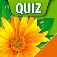 Activities of Heilpflanzen Quiz