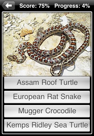 Reptiles screenshot 4