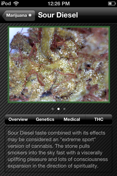 Marijuana ✱ Free screenshot-3