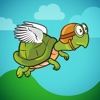 Turtle Takeoff - FREE