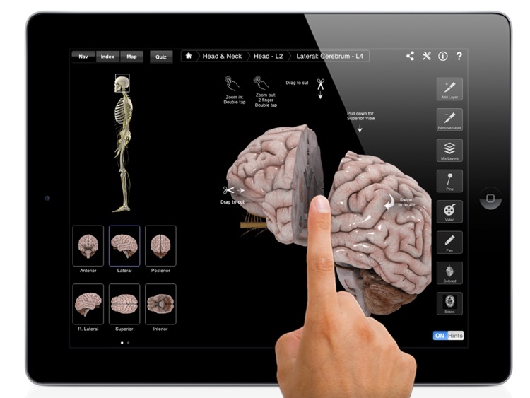 Brain & Nervous System Pro III