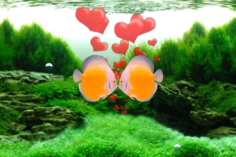 A Pair Of Kissing Fish Lite screenshot 2