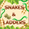 MSP Snakes and Ladders Exam Prep Game