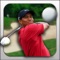 Golf is deceptively simple and endlessly complicated