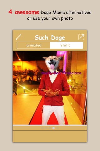 Such Doge - create your own shiba inu doge meme in seconds! screenshot 3