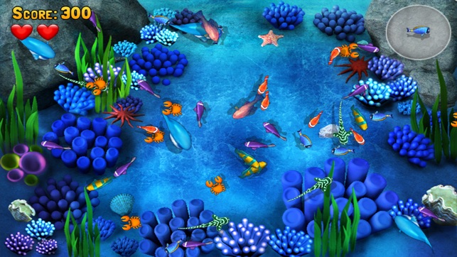 Fish the Fishes(圖2)-速報App