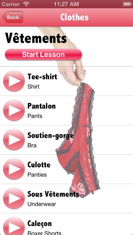 Sexy French - Phrasebook and Quiz screenshot-4