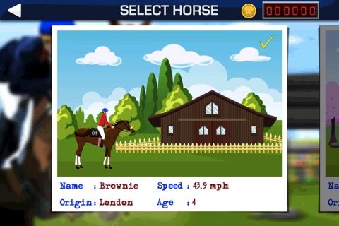 Show Horse Rider screenshot 2