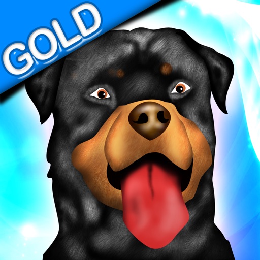 Dog Agility Obstacles Dressage Race Contest - Gold Edition Icon