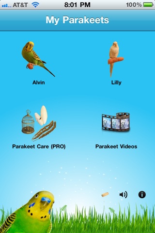 Parakeets screenshot 4