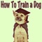 How To Train a Dog Launch Special